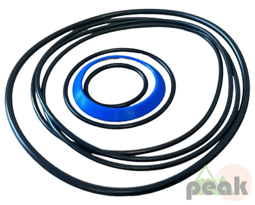 10-19-0510 DANFOSS SEAL KIT