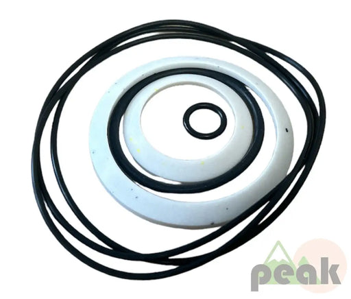 10-19-0522 SEAL KIT FOR EATON MOTOR SEAL KITS