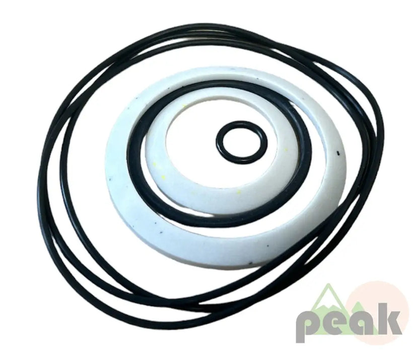 10-19-0522 SEAL KIT FOR EATON MOTOR SEAL KITS