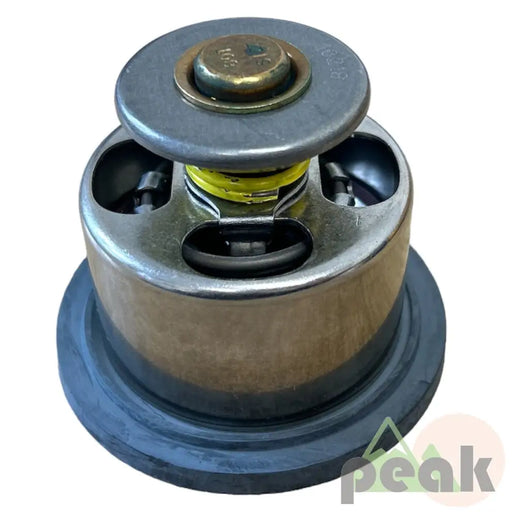 318-0004 Cat C9.3 T4F Termostat