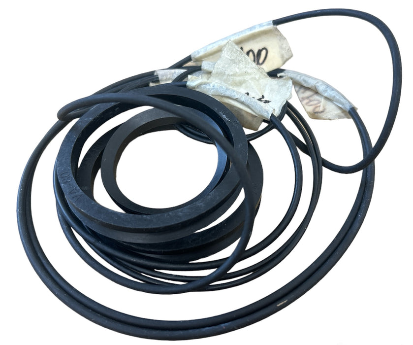BG00570125 SEAL KIT FOR OMB HYDR. VIBRATOR