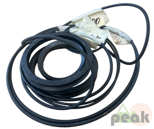 Bg00570125 Seal Kit For Omb Hydr. Vibrator Kits