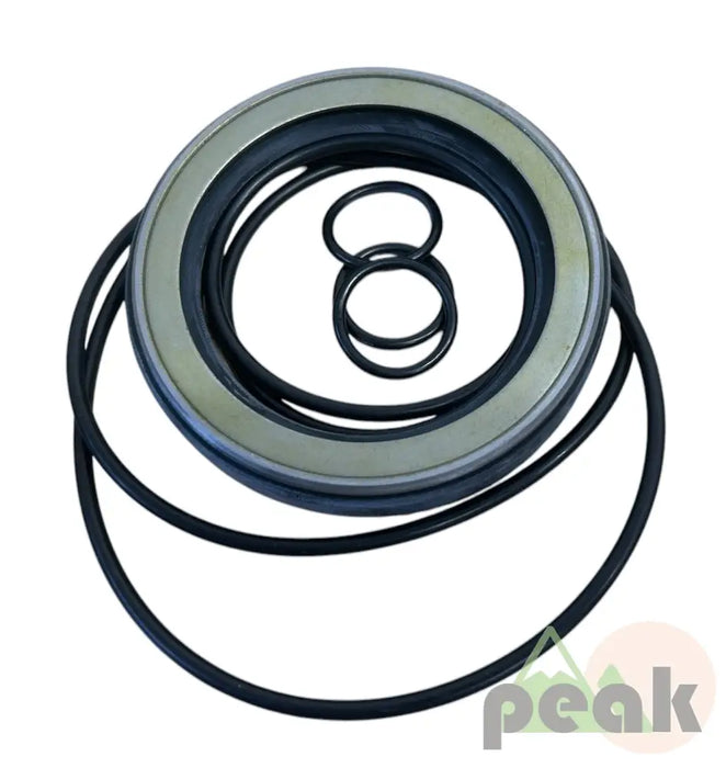 MX250 SEAL KIT SEAL KITS