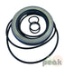 MX250 SEAL KIT SEAL KITS